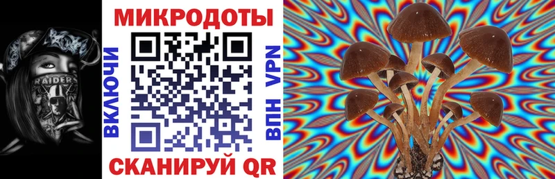Купить закладки  Нестеровская  Галлюциногенные грибы мицелий 